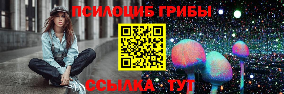 где купить наркоту  Псилоцибиновые грибы Psilocybine cubensis  Вход с VPN  Псилоцибиновые грибы ЛСД  Елец 