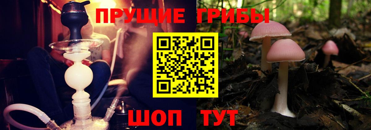 Псилоцибиновые грибы мицелий Елец